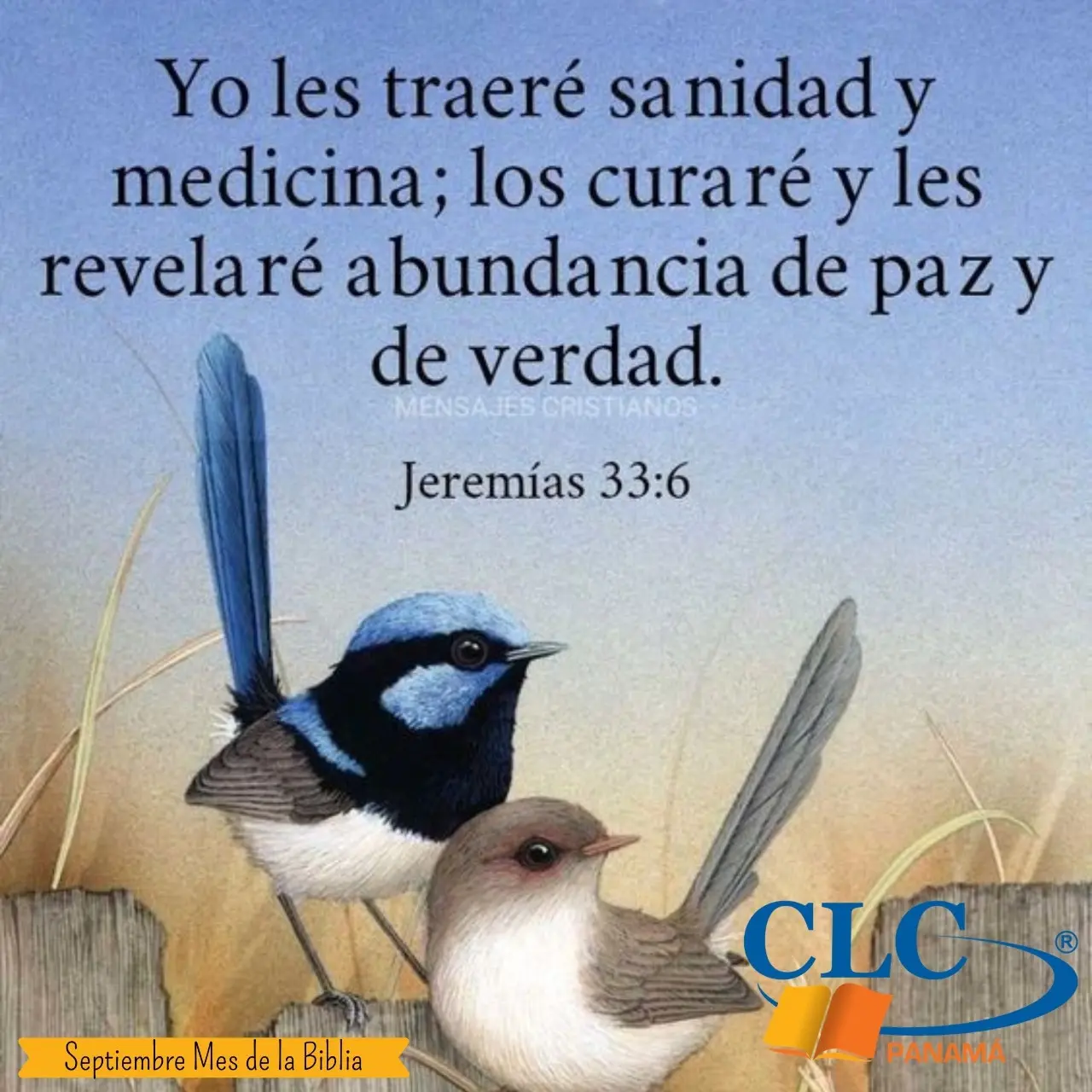 sanidad y medicina biblia - Qué significa les traeré sanidad y medicina