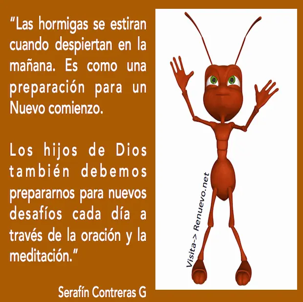 se como las hormigas biblia - Qué significan las hormigas en la Biblia