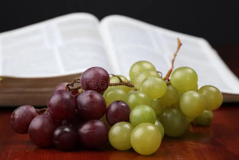 uvas biblia - Qué significan las uvas en lo espiritual