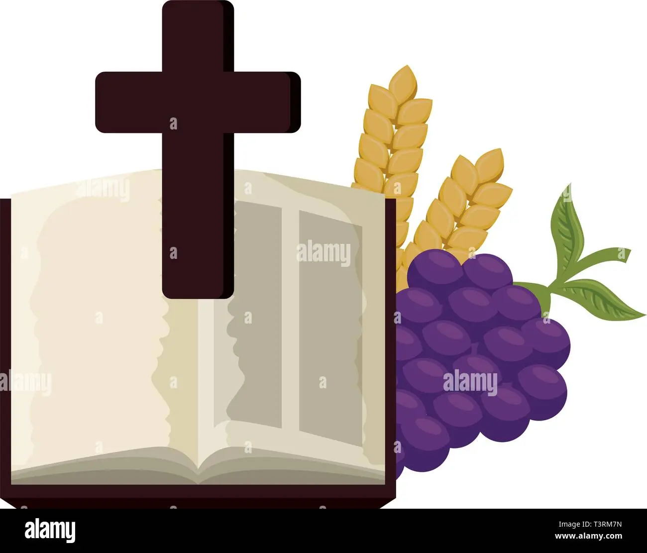 uvas biblia - Qué significan las uvas moradas en la Biblia