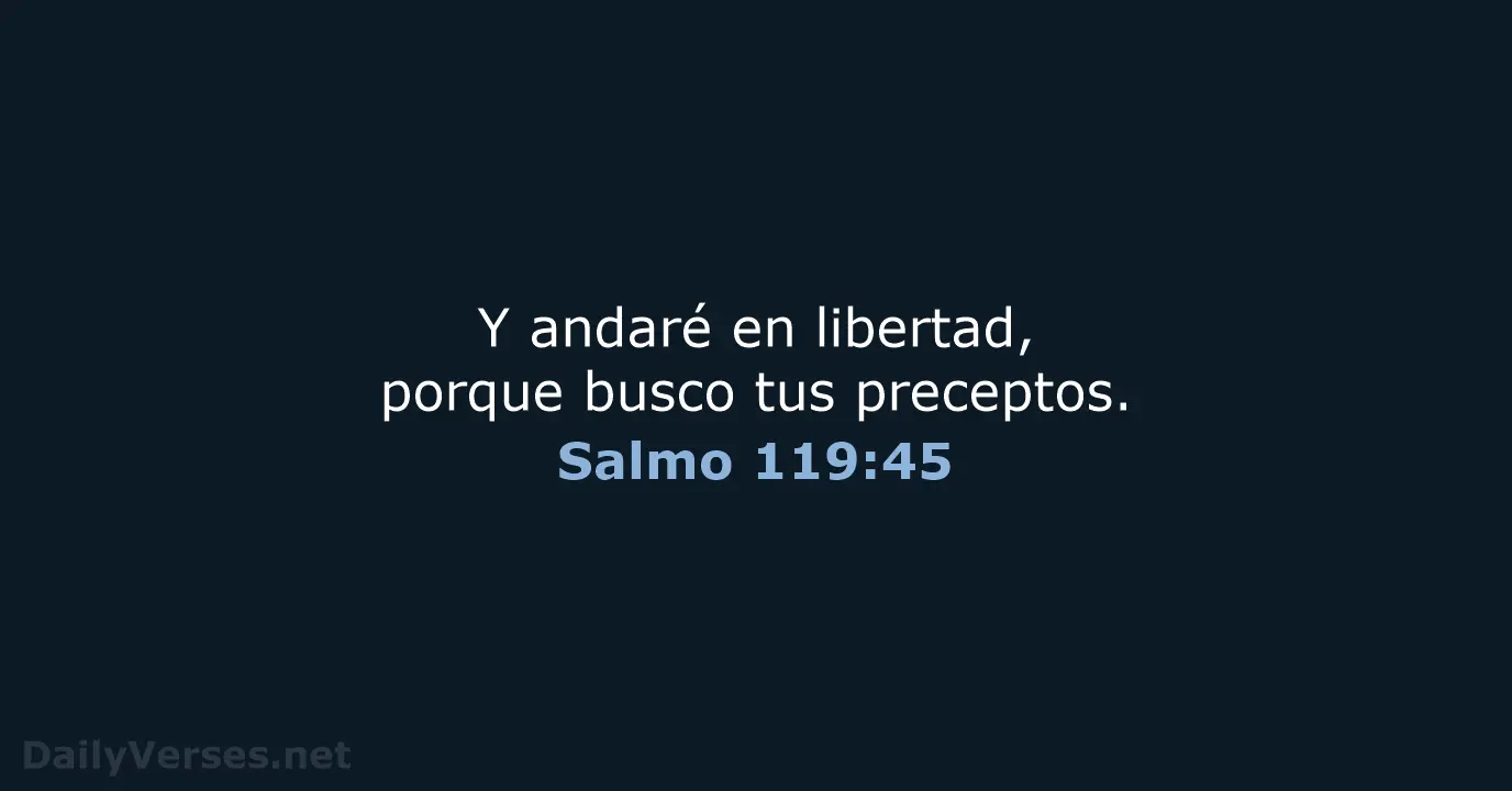 preceptos en la biblia - Qué son reglas o preceptos